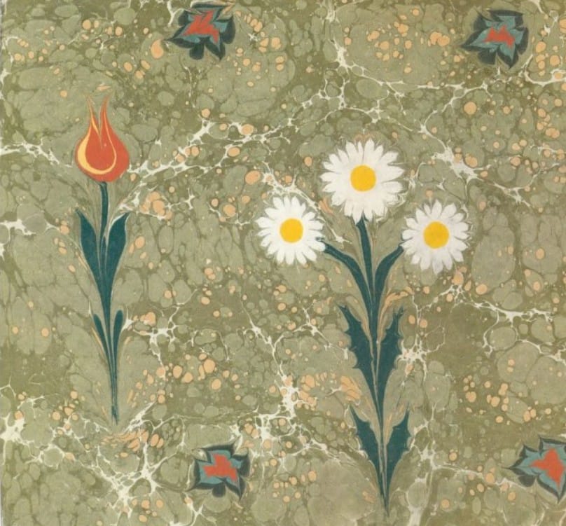 Mustafa Düzgünman Çiçek Ebruları