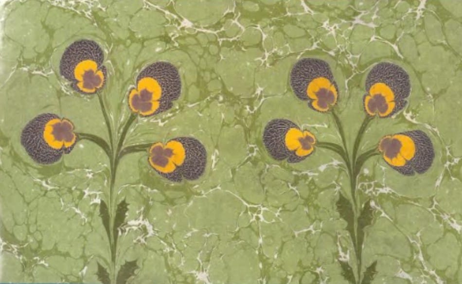 Mustafa Düzgünman Papatya Demeti