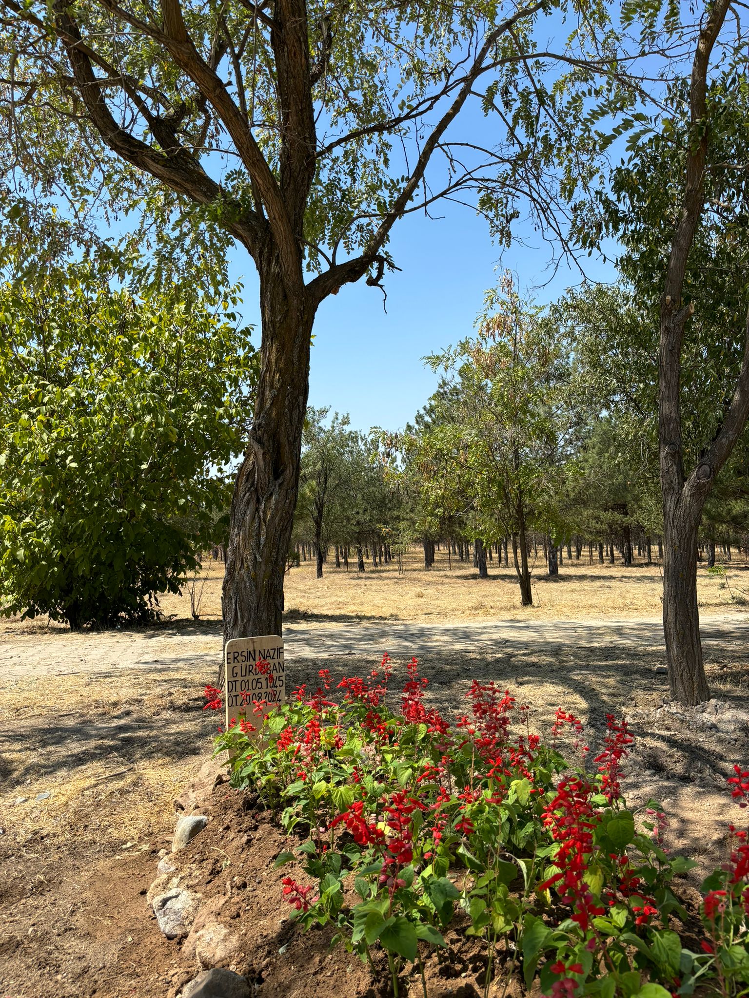 Eser Nazif Gürgoğan'ın Kabri Eskişehir