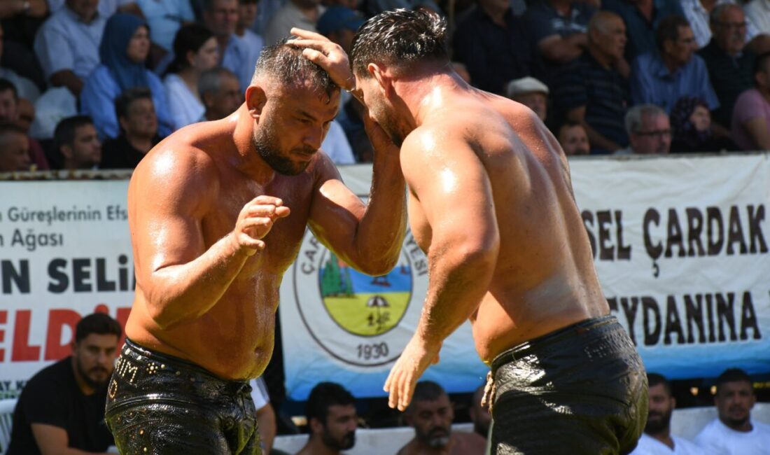 Çanakkale'nin Lapseki ilçesine bağlı Çardak beldesinde düzenlenen 291. Tarihi Çardak