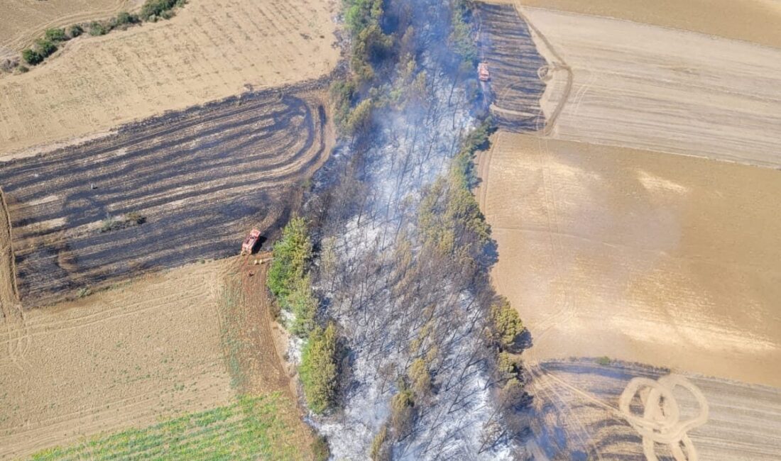 Adana'nın Karaisalı ilçesinde çıkan orman yangını, ekiplerin havadan ve karadan