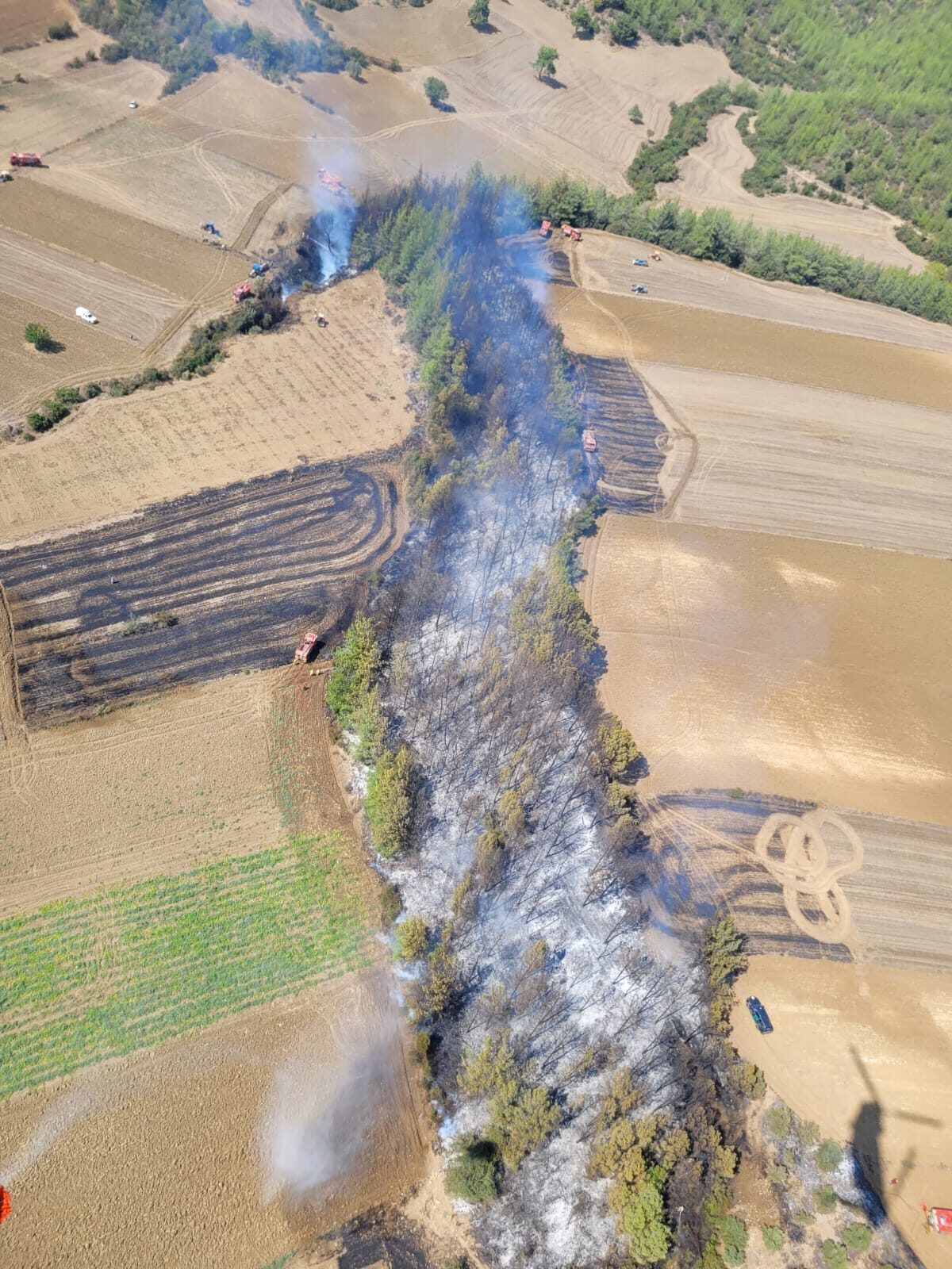 Adana'nın Karaisalı ilçesinde çıkan orman yangını, ekiplerin havadan ve karadan