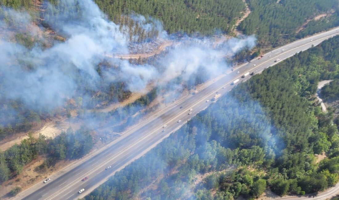 Adana'nın Pozantı ilçesinde otoyoldaki otomobilde çıkıp ormanlık alana sıçrayan yangına