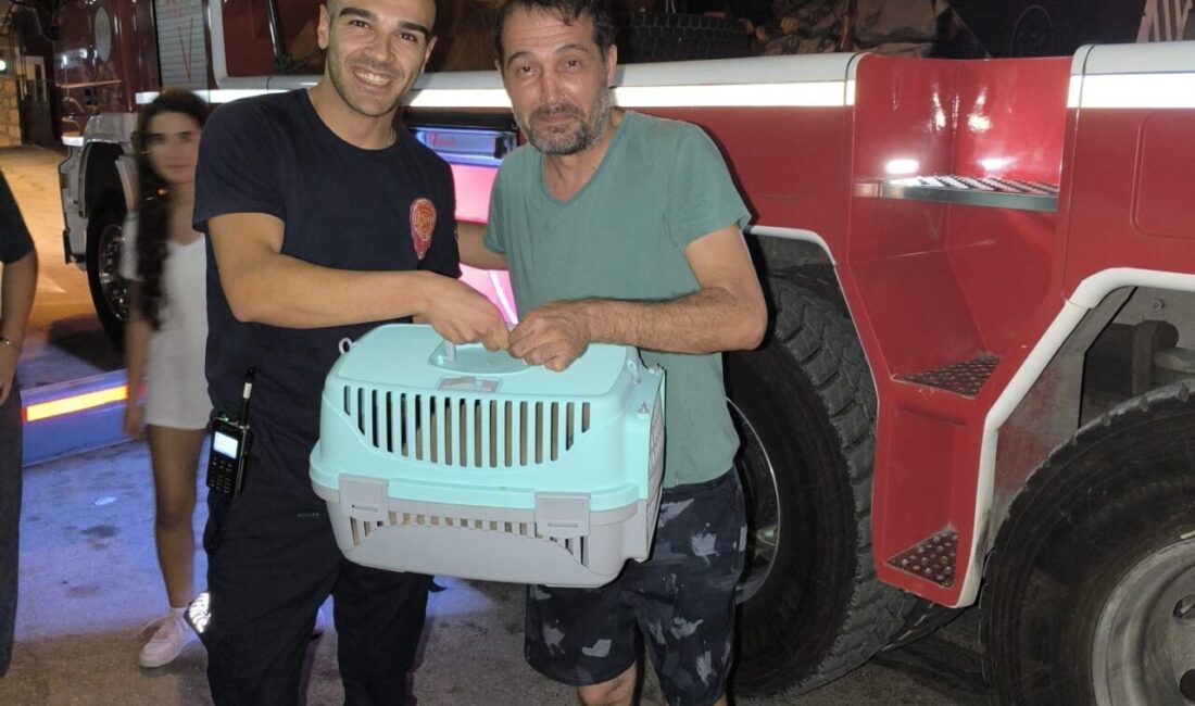 Adana'nın merkez Sarıçam ilçesinde balkon demirlerine sıkışan kedi, itfaiye ekiplerince