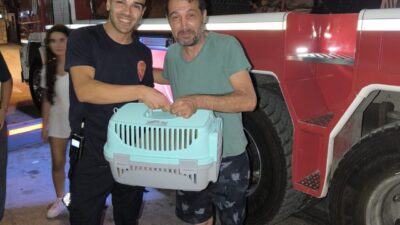 Adana'nın merkez Sarıçam ilçesinde balkon demirlerine sıkışan kedi, itfaiye ekiplerince