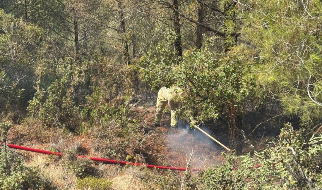  Adana'nın Sarıçam ilçesinde çıkan orman yangını, ekiplerin havadan ve karadan