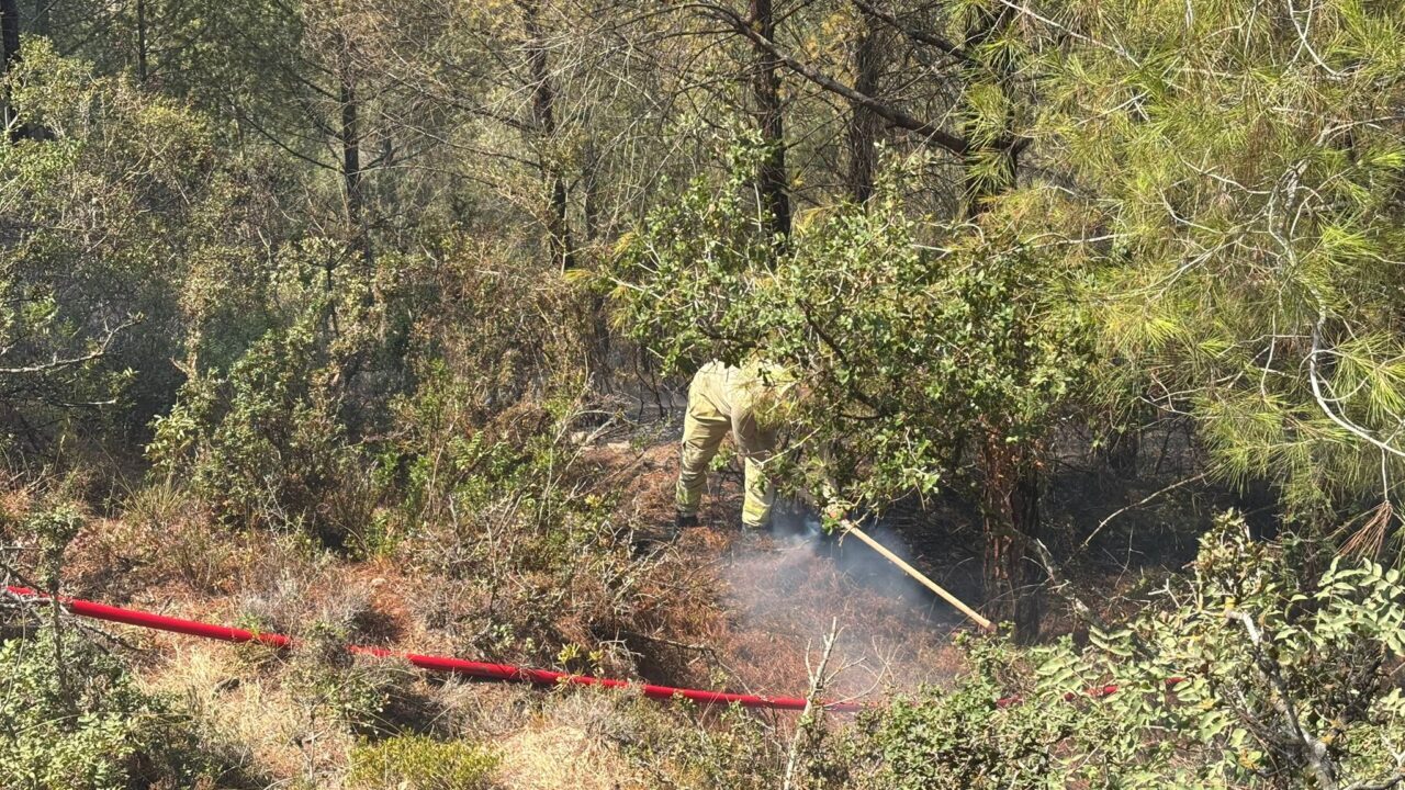  Adana'nın Sarıçam ilçesinde çıkan orman yangını, ekiplerin havadan ve karadan