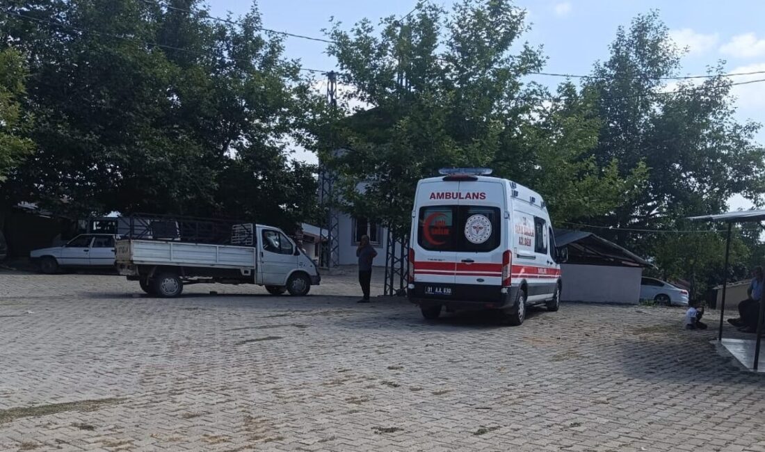 Adana'nın Kozan ilçesinde çıkan kavgada ev sahibinin sopayla darbettiği kişi