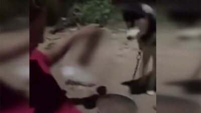 Ankara’nın Polatlı ilçesinde, köpeğine alkol içirip cep telefonu kamerasıyla kaydeden