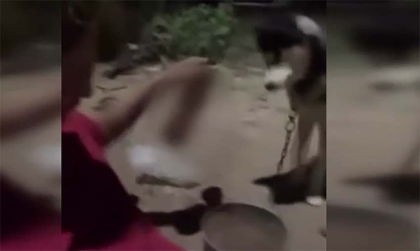 Ankara’nın Polatlı ilçesinde bir kişi köpeğine zorla alkol içirdi.