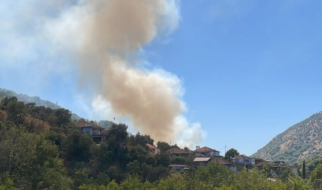  Aydın'ın Köşk ilçesinde zeytinlik alanda çıkan yangın havadan ve karadan