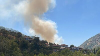  Aydın'ın Köşk ilçesinde zeytinlik alanda çıkan yangın havadan ve karadan
