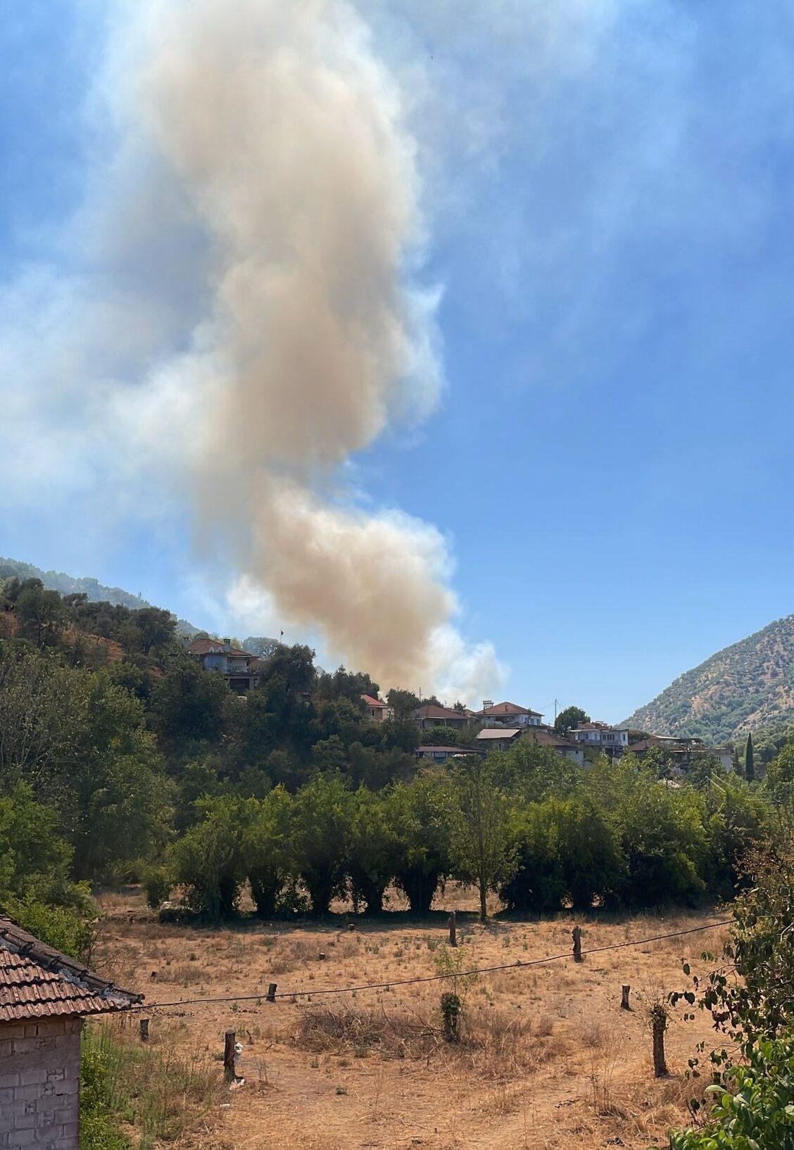  Aydın'ın Köşk ilçesinde zeytinlik alanda çıkan yangın havadan ve karadan