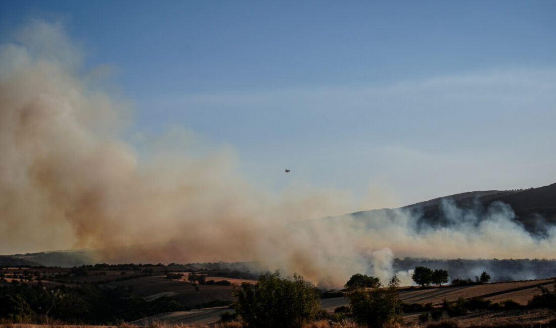 Balıkesir'in Susurluk ilçesinde çıkan orman yangınına havadan ve karadan müdahale