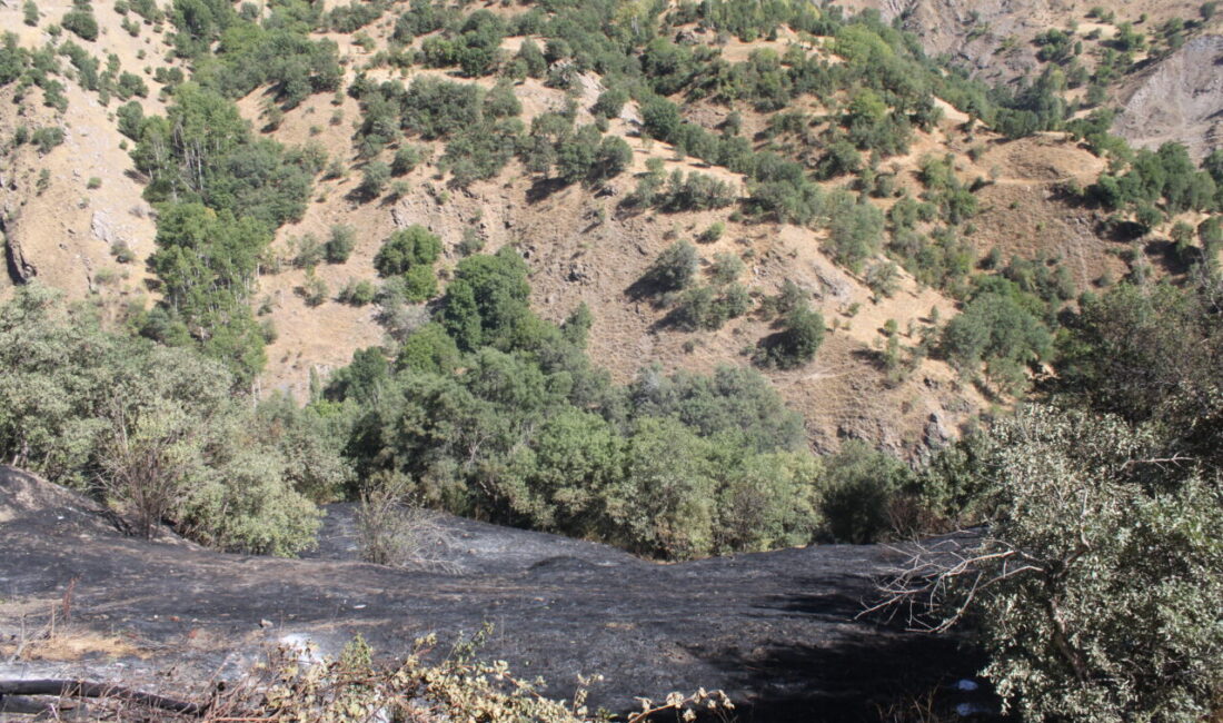 Bitlis'in Hizan ilçesinde ağaçlık alanda çıkan yangın, ekiplerin müdahalesiyle söndürüldü.