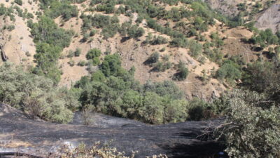 Bitlis'in Hizan ilçesinde ağaçlık alanda çıkan yangın, ekiplerin müdahalesiyle söndürüldü.