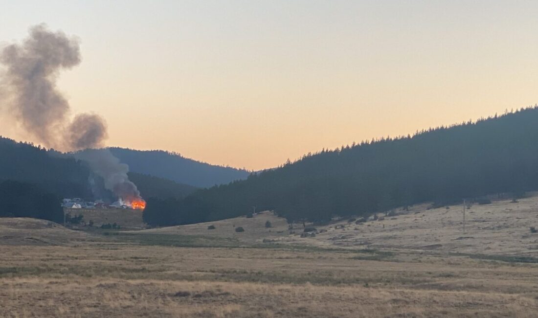 Bolu'nun Seben ilçesinde yaylada çıkan yangında 2 yayla evi kullanılamaz
