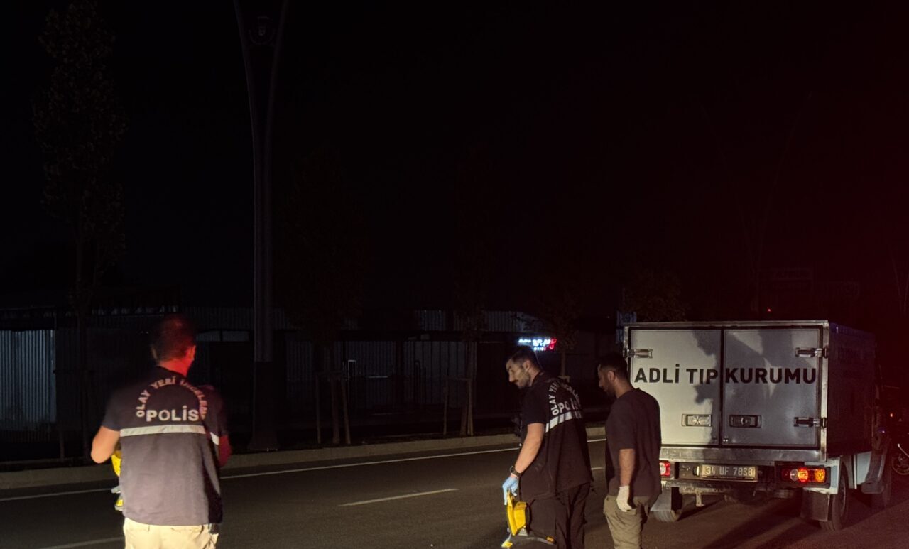 Bursa'nın Nilüfer ilçesinde otomobilin çarptığı yaya yaşamını yitirdi.