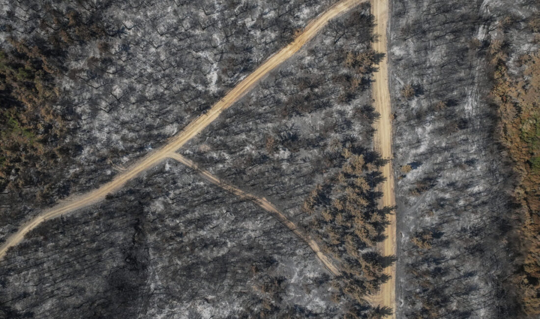 Çanakkale'nin Gelibolu ilçesinde kırsal alanda başlayıp ormana sıçrayan ve büyük