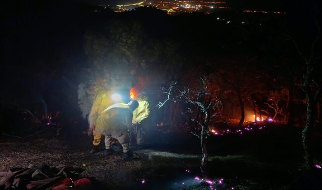 Denizli'nin Buldan ilçesi Çatak Mahallesi ile Aydın'ın Buharkent ilçesi Kızıldere