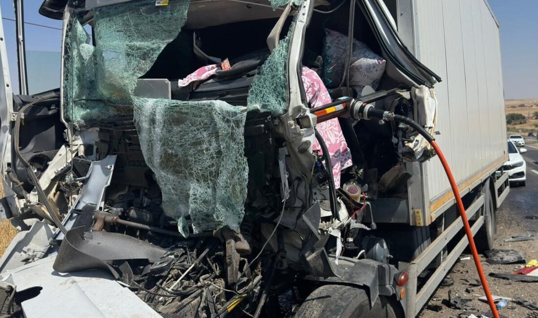 Diyarbakır'ın Silvan ilçesinde saman yüklü araca arkadan çarpan kamyonun sürücüsü