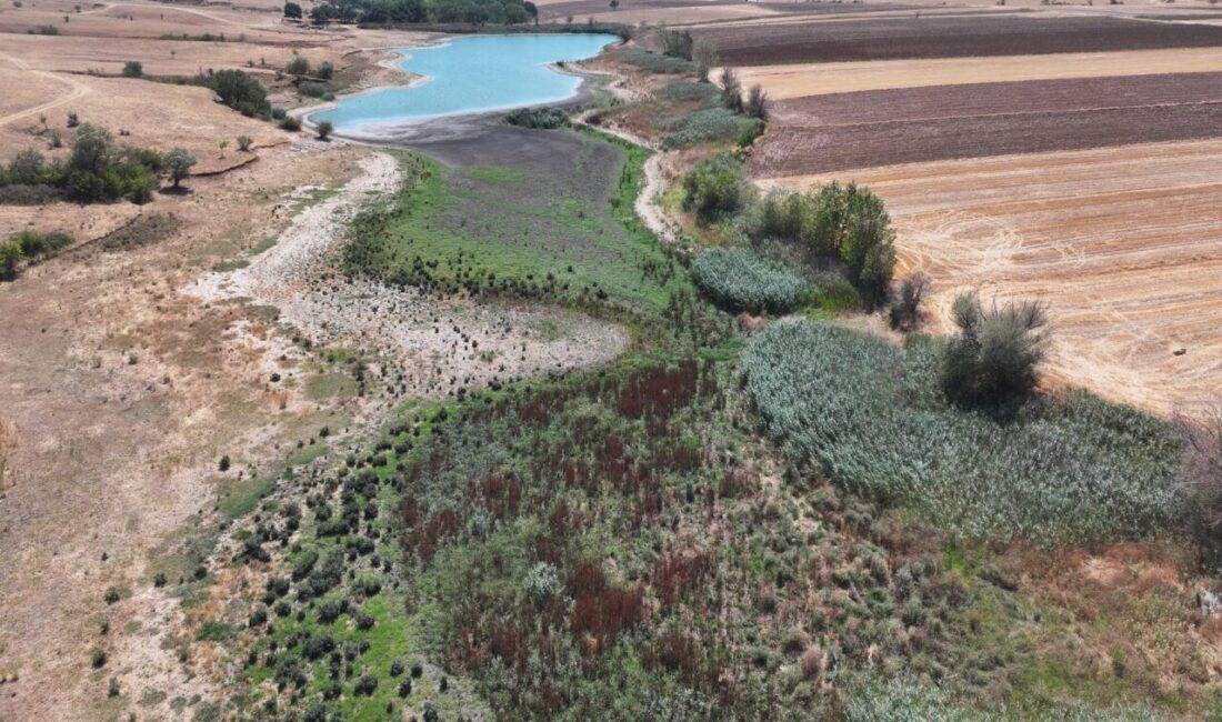 Edirne'de merkeze bağlı Korucu köyünde bulunan göletin su seviyesi, kuraklık