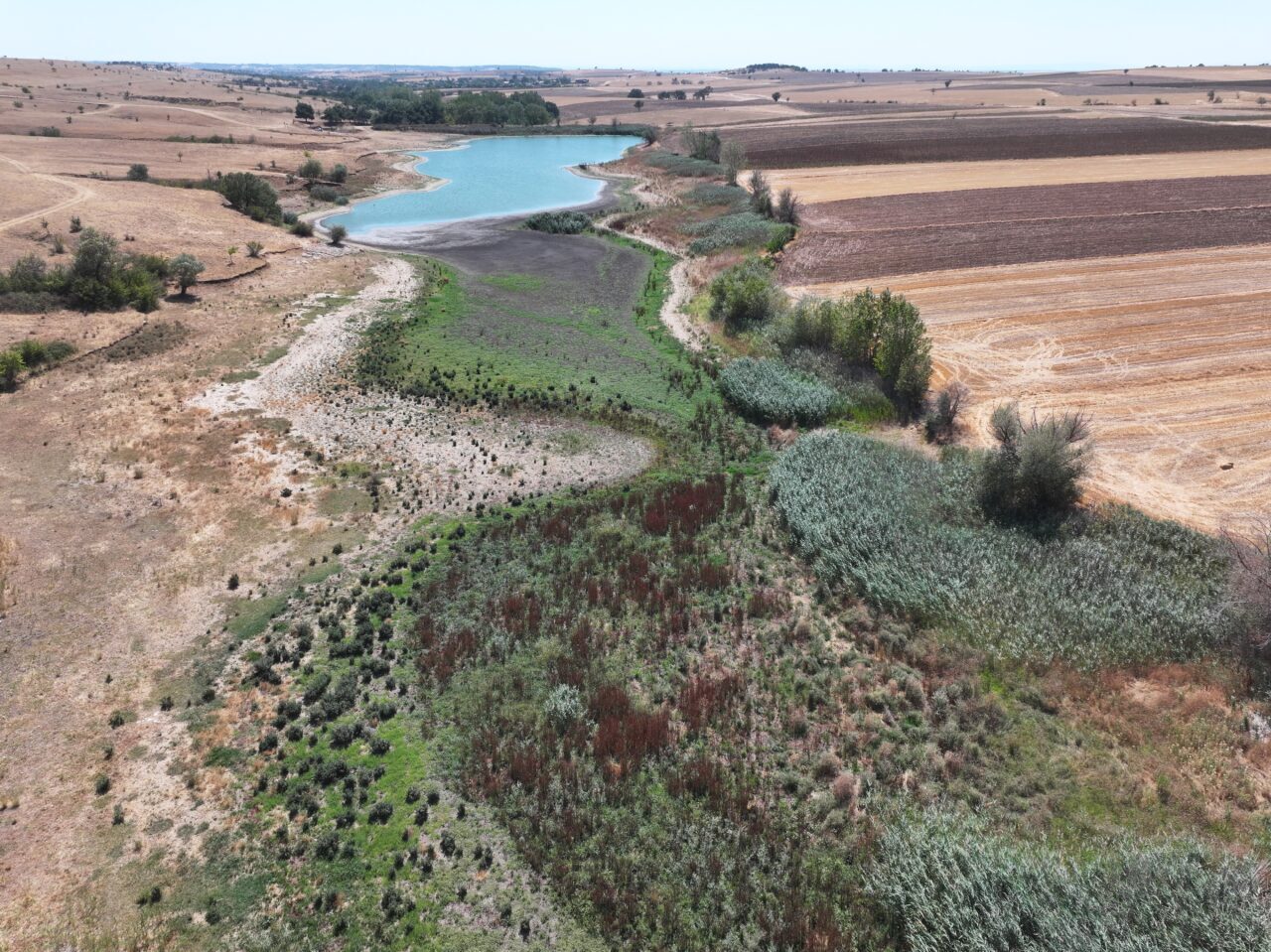 Edirne'de merkeze bağlı Korucu köyünde bulunan göletin su seviyesi, kuraklık