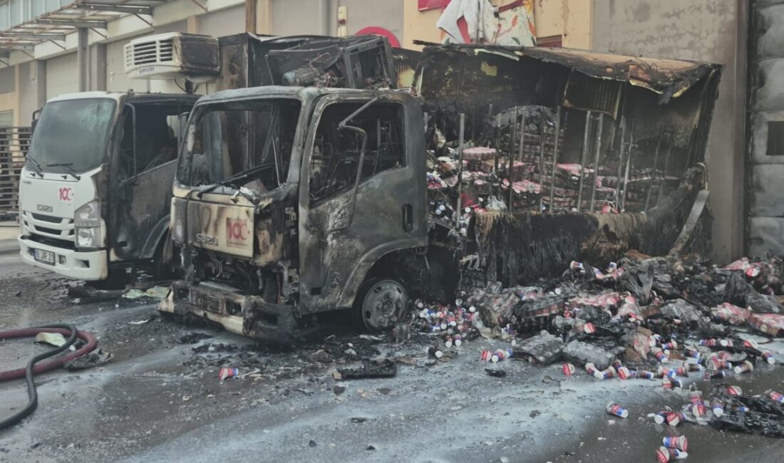 Edirne'deki yangında park halindeki 2 kamyon kullanılamaz hale geldi.