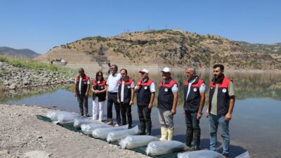  Elazığ'da Keban Su Ürünleri Üretim İstasyonu'nda üretilen 17 milyon sazan