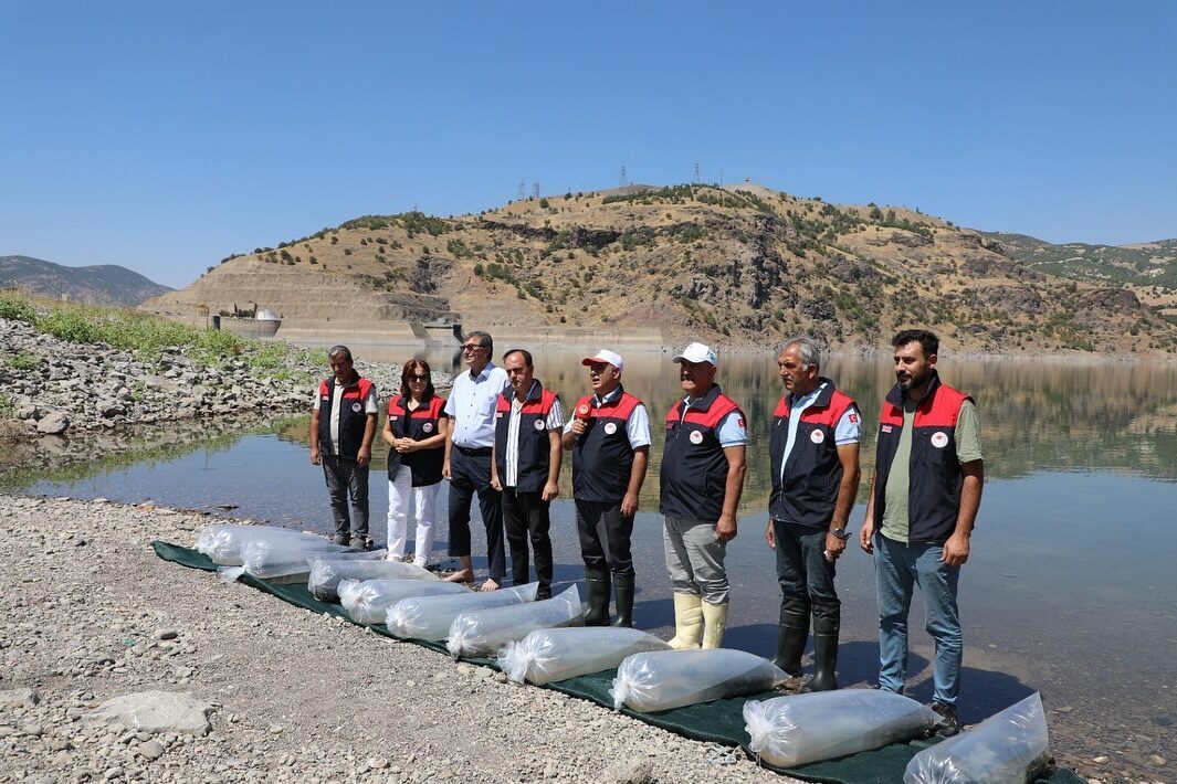  Elazığ'da Keban Su Ürünleri Üretim İstasyonu'nda üretilen 17 milyon sazan