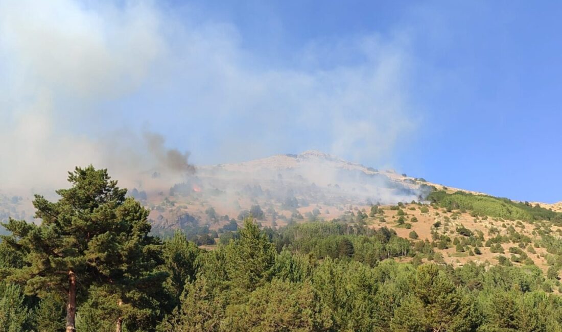 Gümüşhane'nin Şiran ilçesinde çıkan örtü yangını kontrol altına alındı.