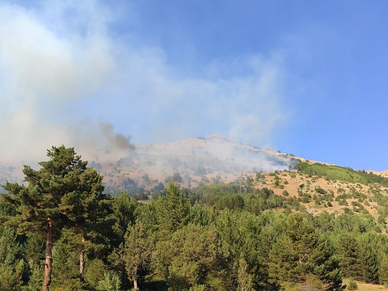 Gümüşhane'nin Şiran ilçesinde çıkan örtü yangını kontrol altına alındı.