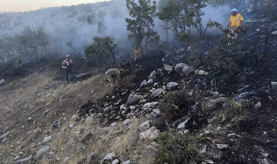 Diyarbakır'ın Lice ilçesi kırsalındaki ormanlık alanda çıkan yangın söndürüldü.