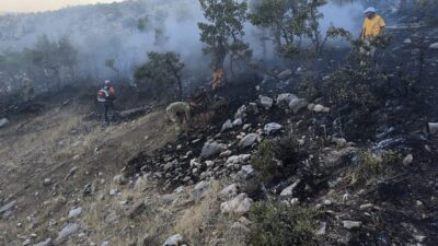 Diyarbakır'ın Lice ilçesi kırsalındaki ormanlık alanda çıkan yangın söndürüldü.