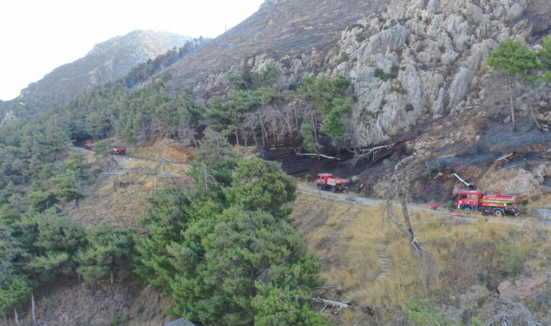  Hatay'ın merkez Antakya ilçesinde dün çıkan orman yangını havadan ve