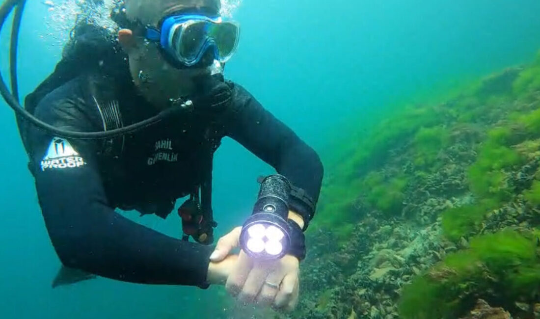 Türkiye Milli Olimpiyat Komitesi (TMOK) tarafından bu yıl 37'ncisi düzenlenen