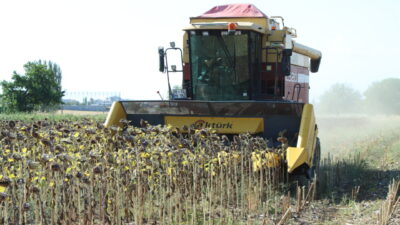 Türkiye'nin önemli ayçiçeği üretim merkezlerinden biri olan Kırklareli'nde çiftçiler, ayçiçeği