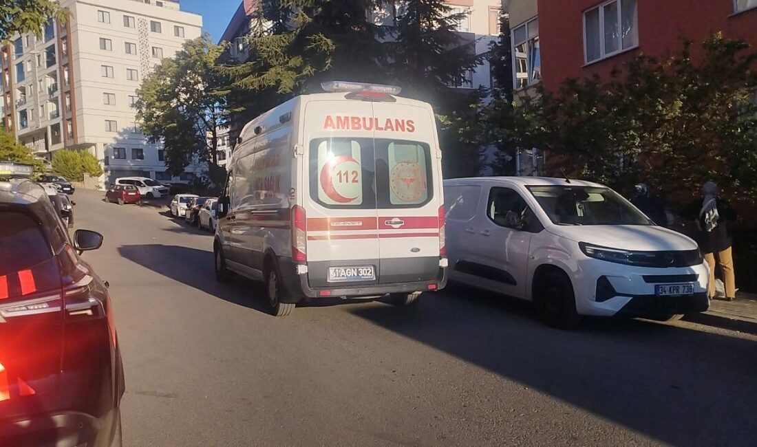 Kocaeli'nin Gebze ilçesinde, karısını tabancayla öldüren kişi kendi canını aynı