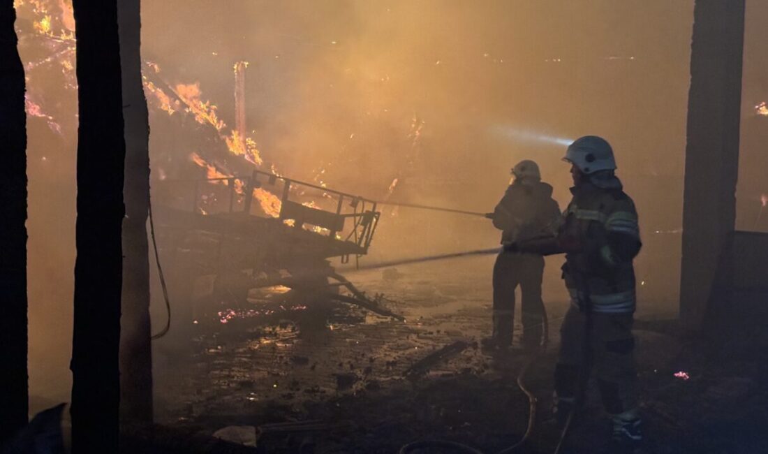  Kütahya'da bir köyde çıkan yangında 2 ev, 3 samanlık ve