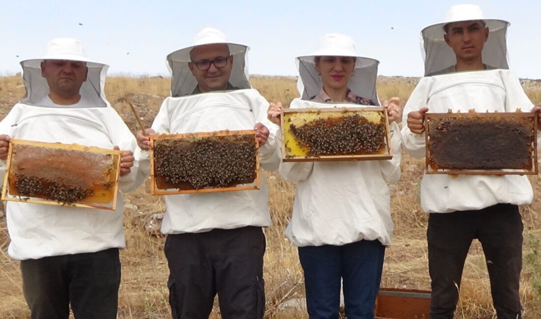Mersin'in Erdemli ilçesinde yaylada üretimi yapılan balın hasadı gerçekleştirildi.