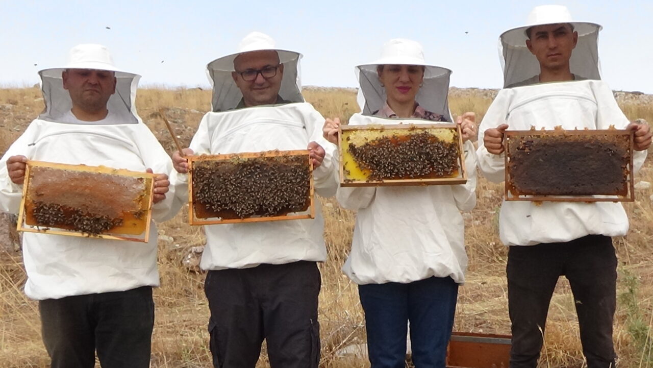 Mersin'in Erdemli ilçesinde yaylada üretimi yapılan balın hasadı gerçekleştirildi.