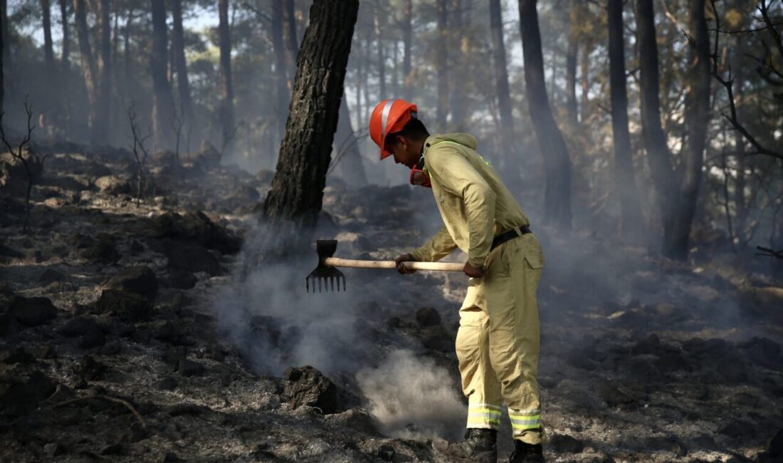  Muğla'nın Fethiye ilçesinde çıkan orman yangını havadan ve karadan müdahaleyle