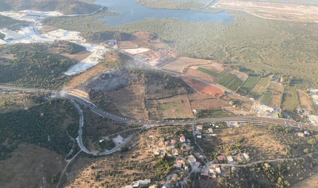 Muğla'nın Milas ilçesinde ziraat alanında başlayıp ormana sıçrayan yangın kontrol