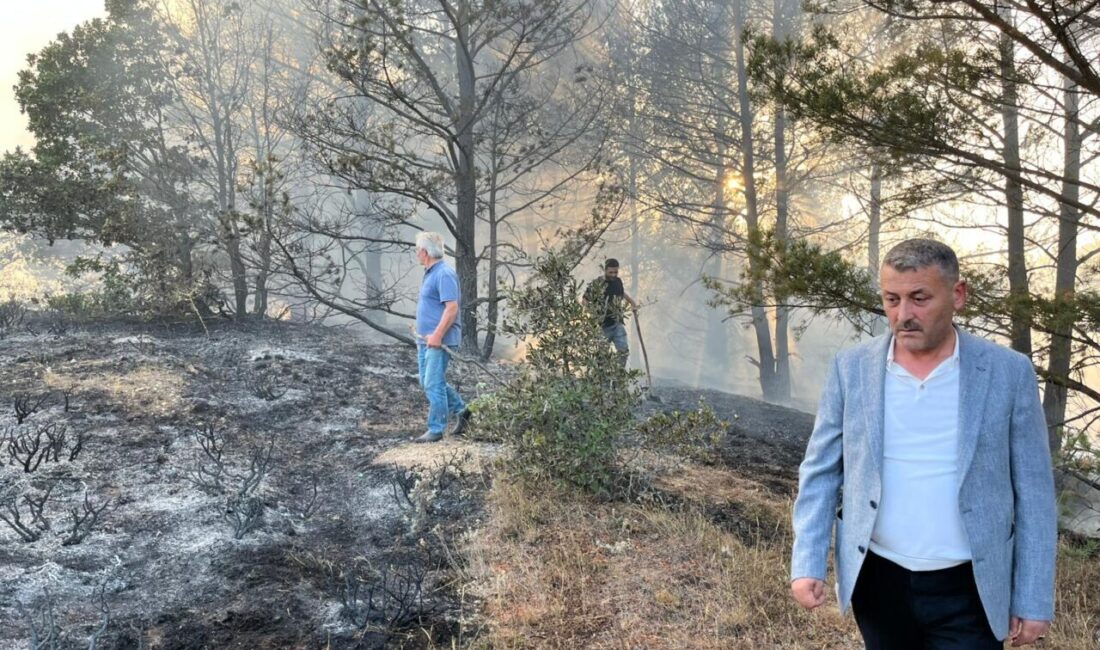  Ordu'nun Mesudiye ilçesinde çıkan orman yangını söndürüldü.