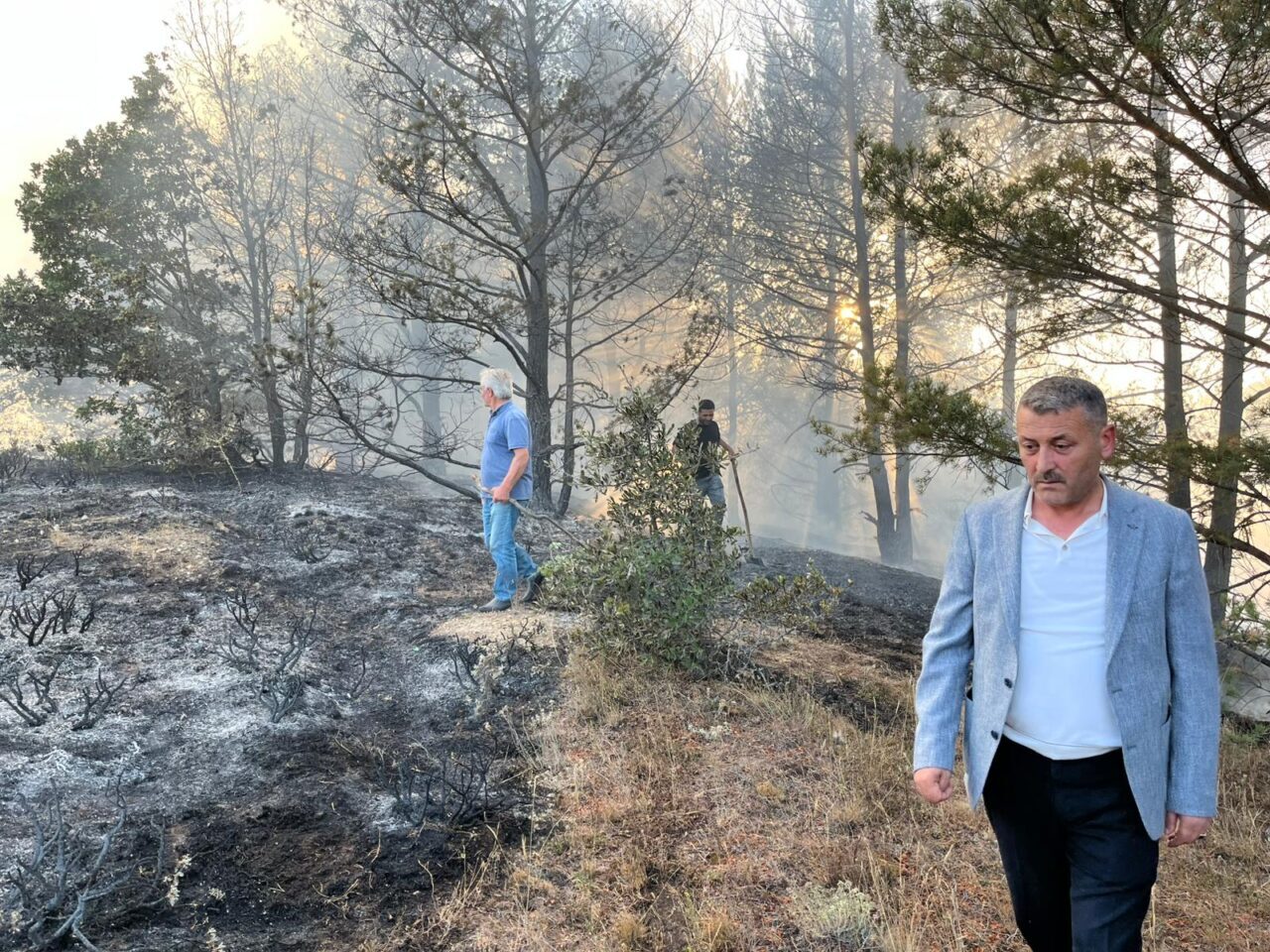  Ordu'nun Mesudiye ilçesinde çıkan orman yangını söndürüldü.