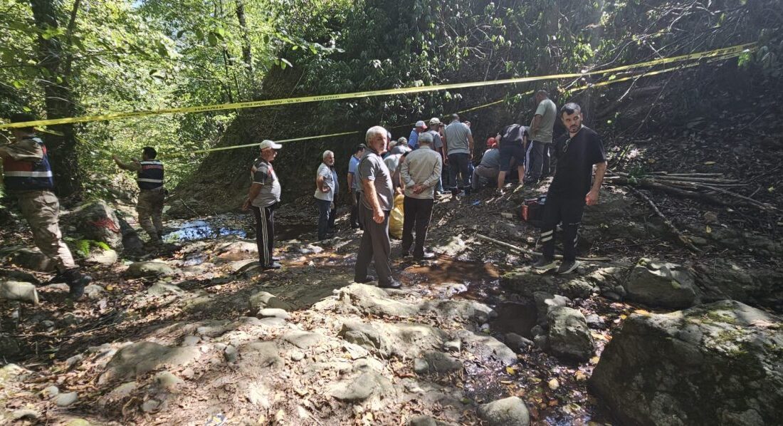  Ordu'nun İkizce ilçesinde fındık topladığı sırada yamaçtan düşen kişi hayatını