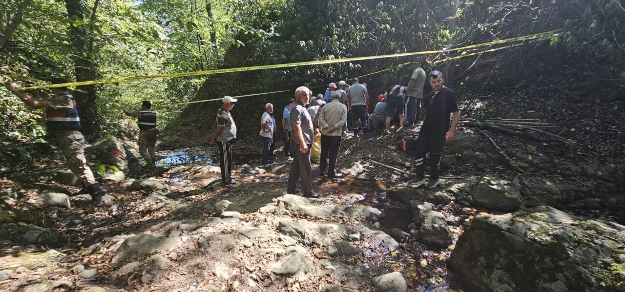  Ordu'nun İkizce ilçesinde fındık topladığı sırada yamaçtan düşen kişi hayatını