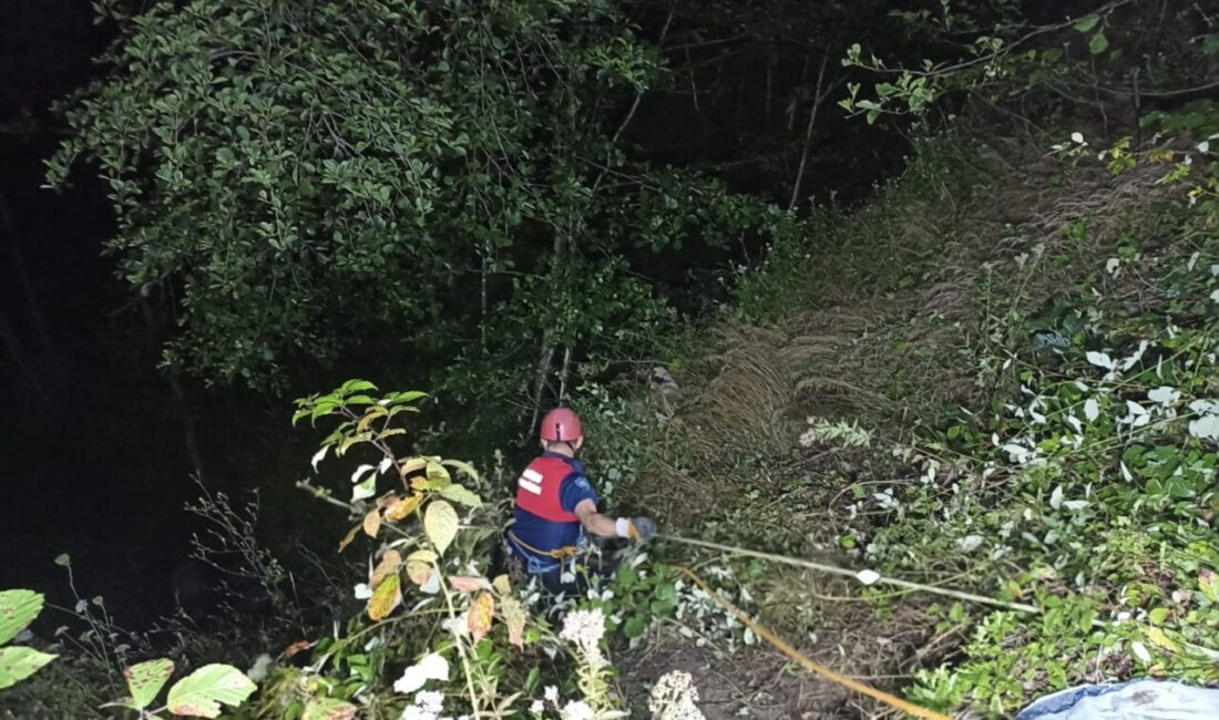 Ordu'nun Ünye ilçesinde tarım aracının uçuruma yuvarlanması sonucu sürücü öldü,