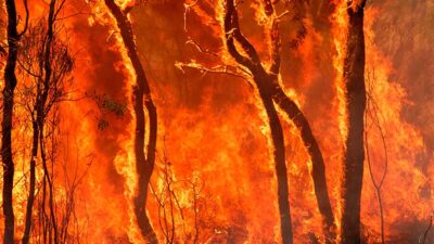 Adana'nın Ceyhan ilçesinde müstakil evde çıkan yangında bir kişi yaşamını