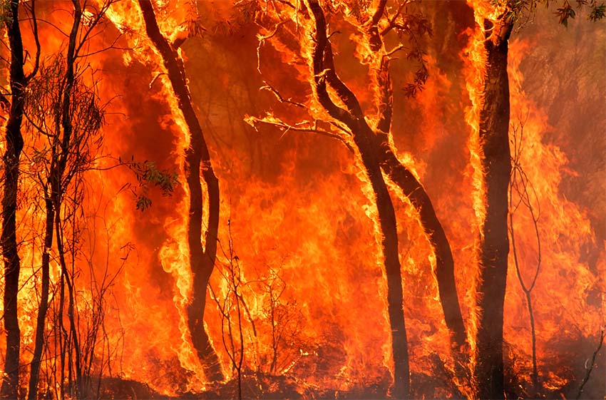 Muğla'nın Yatağan ilçesinde orman yangını çıktı. Alevler 1 saatte kontrol